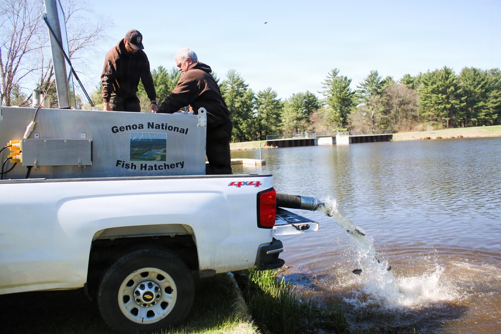 15,000 rainbow trout stocked at Fort McCoy in time for May 2026 fishing opener