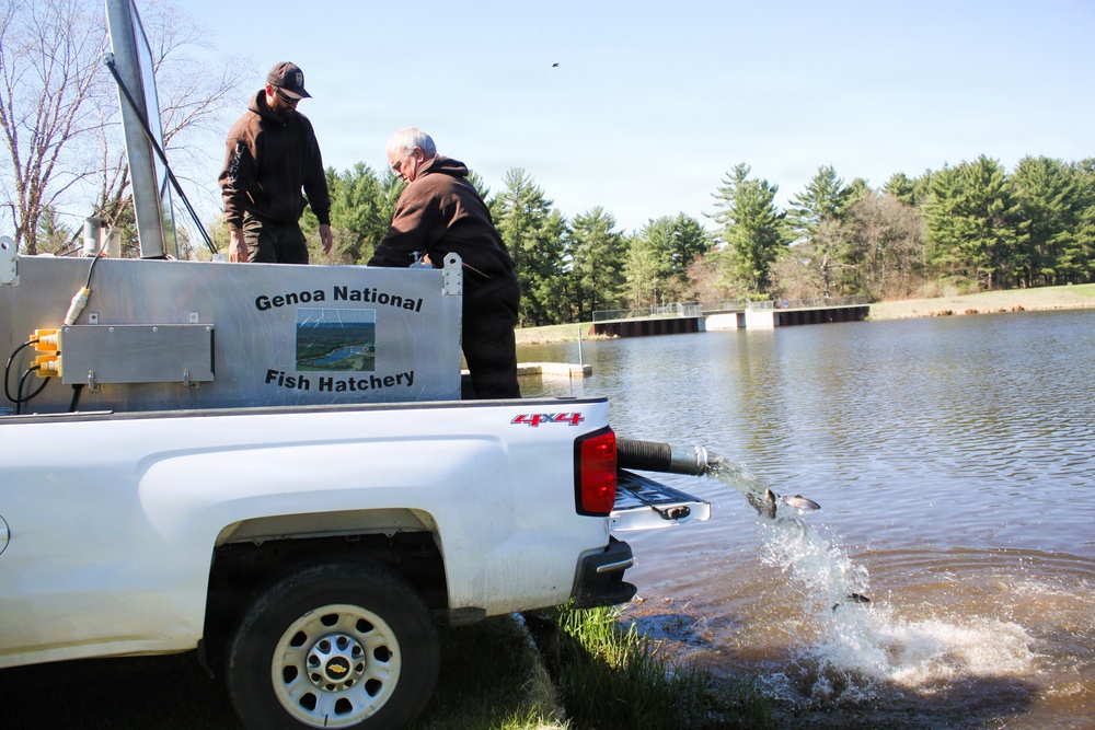 15,000 rainbow trout stocked at Fort McCoy in time for May 2026 fishing opener
