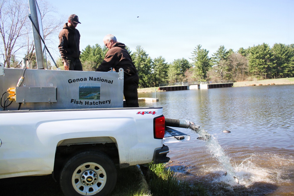 15,000 rainbow trout stocked at Fort McCoy in time for May 2026 fishing opener