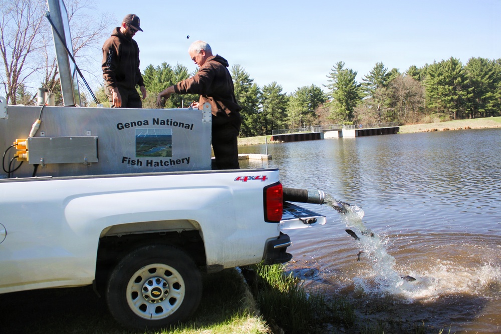 15,000 rainbow trout stocked at Fort McCoy in time for May 2026 fishing opener