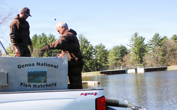 15,000 rainbow trout stocked at Fort McCoy in time for May 2026 fishing opener