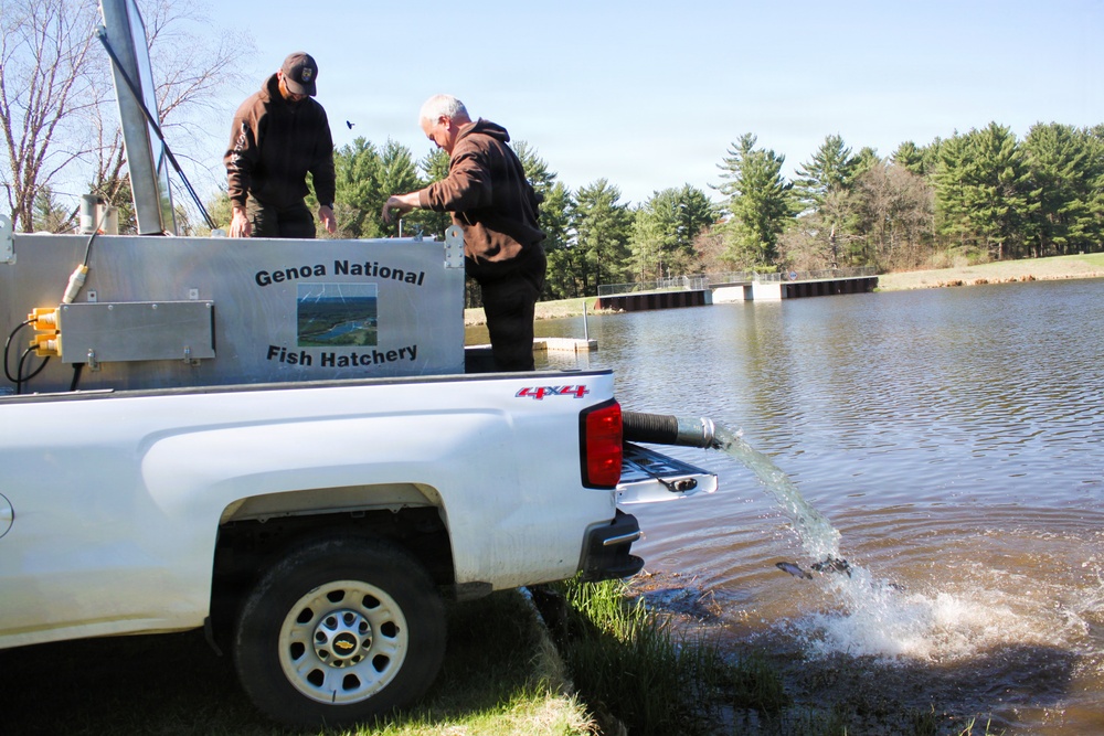 15,000 rainbow trout stocked at Fort McCoy in time for May 2026 fishing opener