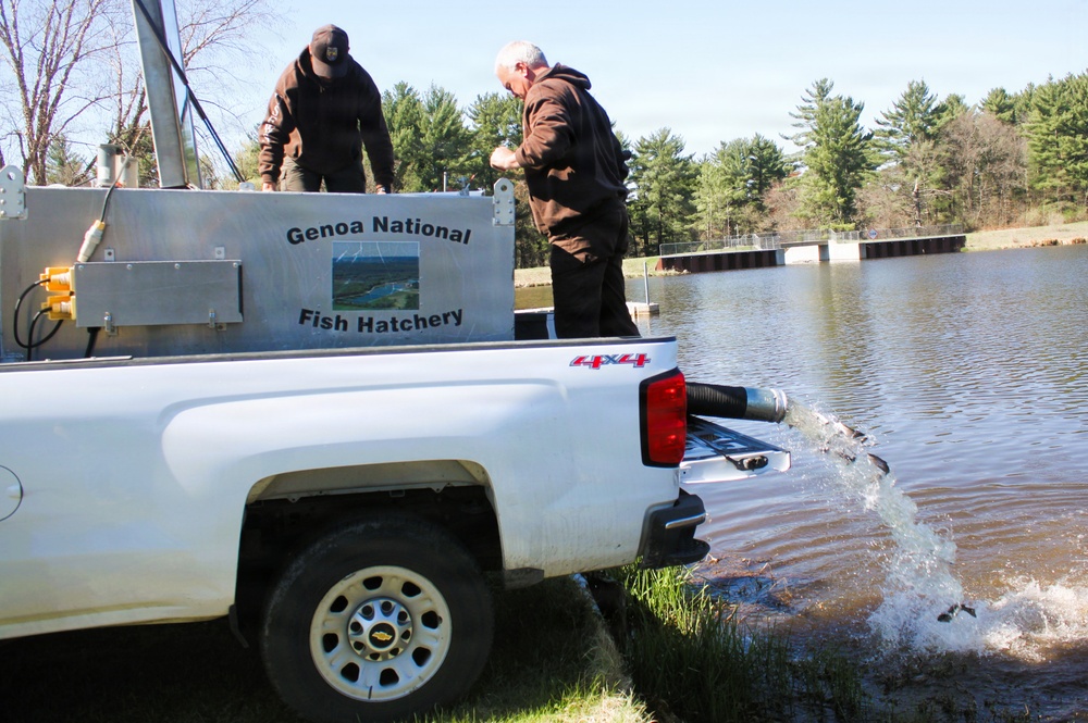 15,000 rainbow trout stocked at Fort McCoy in time for May 2026 fishing opener