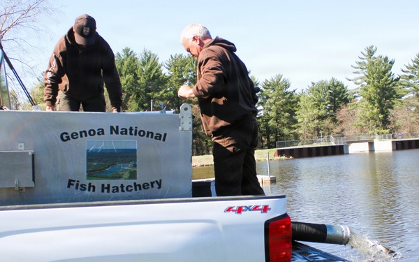 15,000 rainbow trout stocked at Fort McCoy in time for May 2026 fishing opener