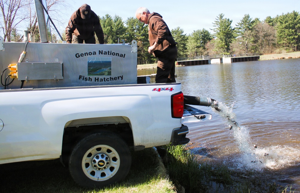 15,000 rainbow trout stocked at Fort McCoy in time for May 2026 fishing opener