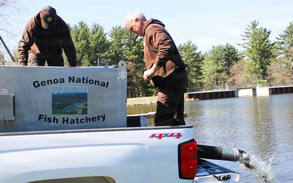 15,000 rainbow trout stocked at Fort McCoy in time for May 2026 fishing opener