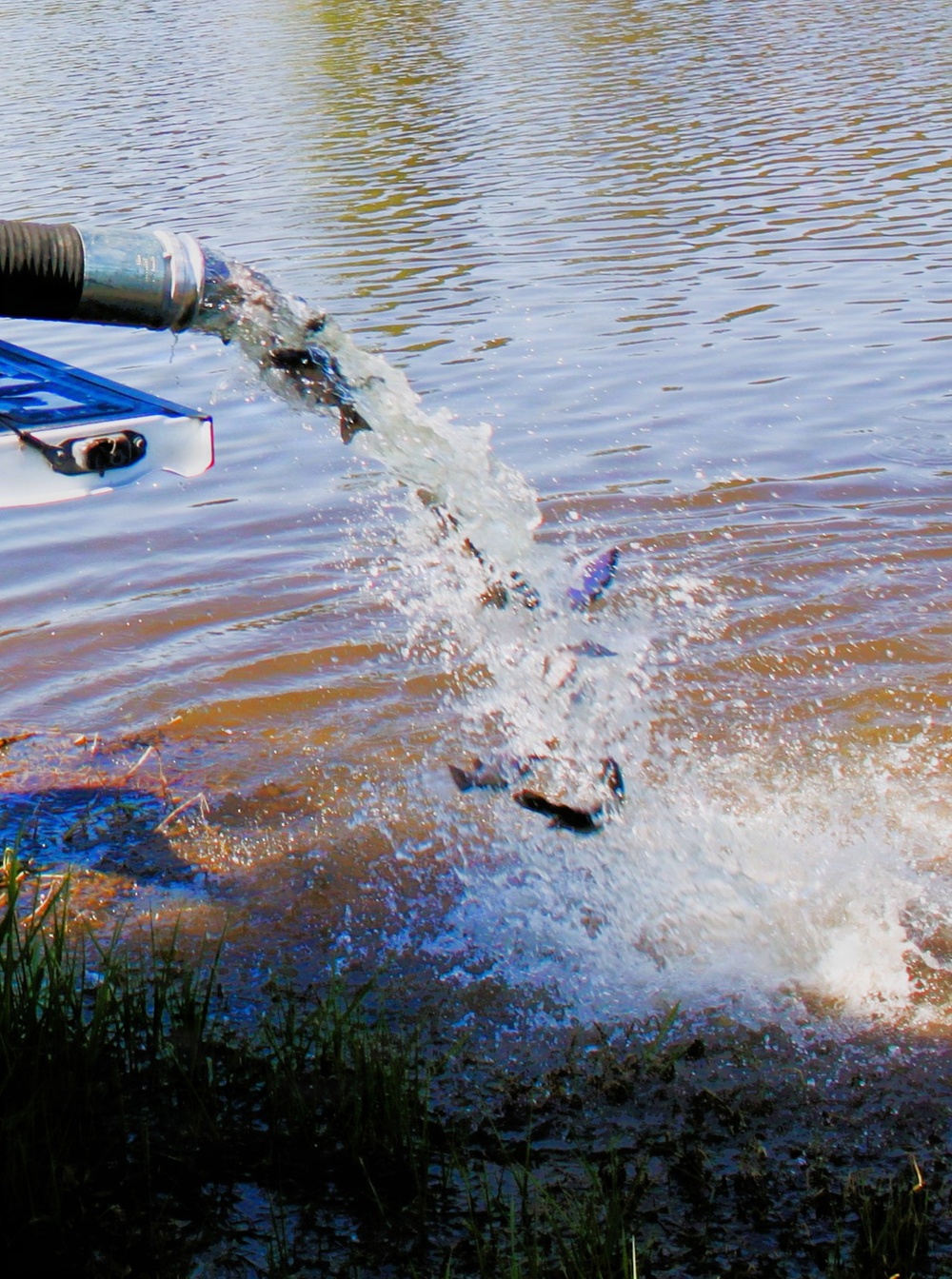 15,000 rainbow trout stocked at Fort McCoy in time for May 2026 fishing opener
