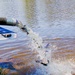 15,000 rainbow trout stocked at Fort McCoy in time for May 2026 fishing opener