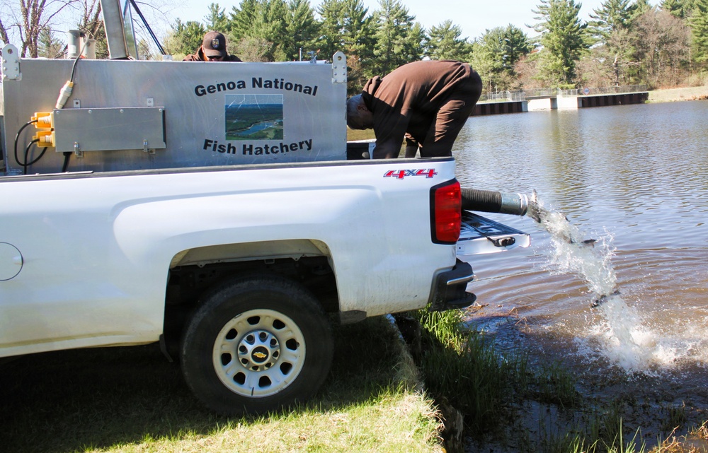 15,000 rainbow trout stocked at Fort McCoy in time for May 2026 fishing opener