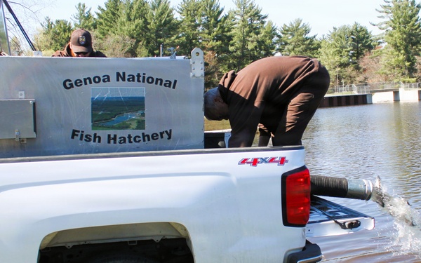 15,000 rainbow trout stocked at Fort McCoy in time for May 2026 fishing opener