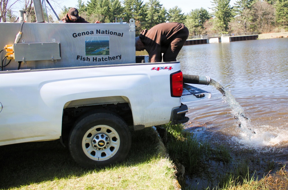 15,000 rainbow trout stocked at Fort McCoy in time for May 2026 fishing opener