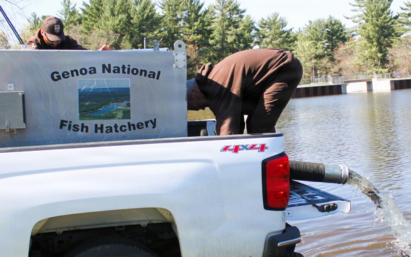15,000 rainbow trout stocked at Fort McCoy in time for May 2026 fishing opener