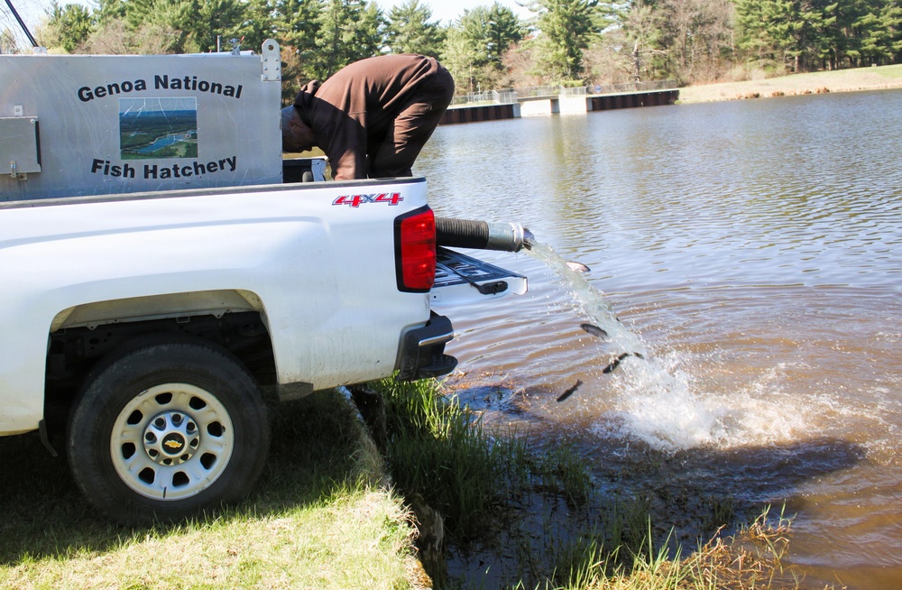 15,000 rainbow trout stocked at Fort McCoy in time for May 2026 fishing opener