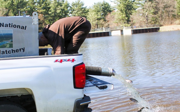 15,000 rainbow trout stocked at Fort McCoy in time for May 2026 fishing opener