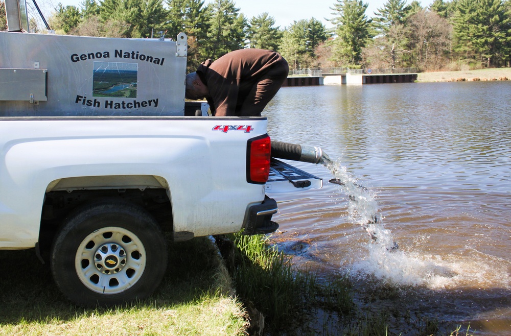 15,000 rainbow trout stocked at Fort McCoy in time for May 2026 fishing opener