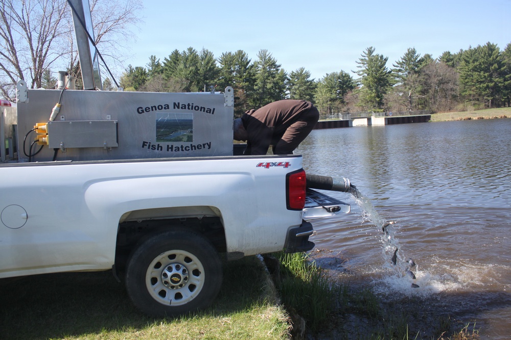 15,000 rainbow trout stocked at Fort McCoy in time for May 2026 fishing opener