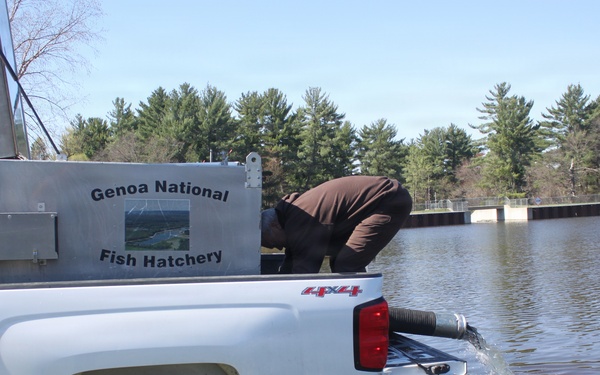 15,000 rainbow trout stocked at Fort McCoy in time for May 2026 fishing opener