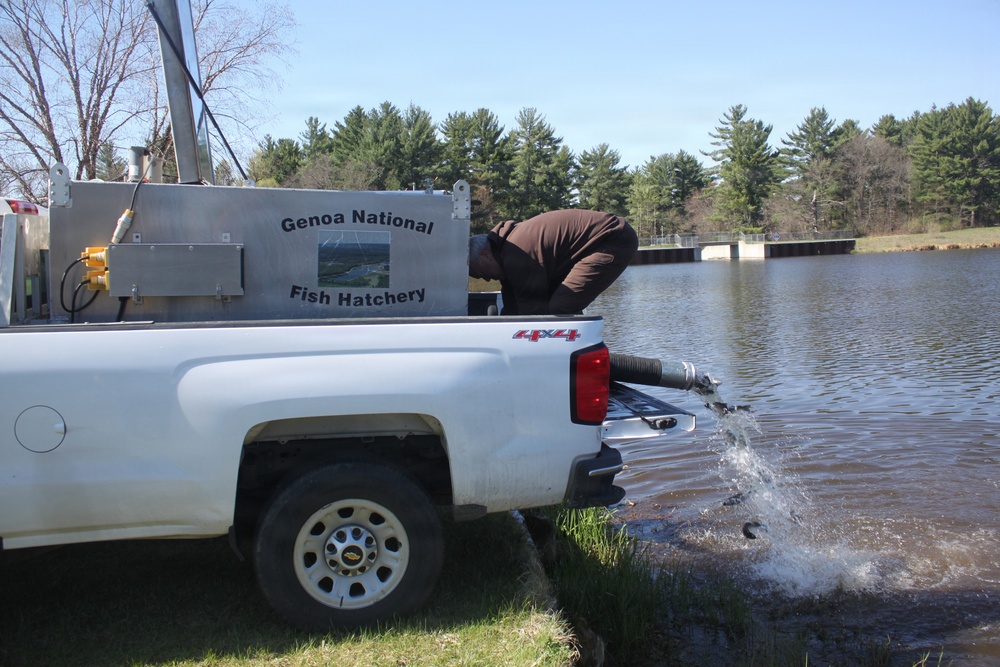15,000 rainbow trout stocked at Fort McCoy in time for May 2026 fishing opener