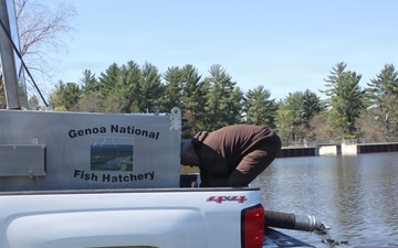 15,000 rainbow trout stocked at Fort McCoy in time for May 2026 fishing opener