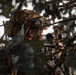 3rd Special Forces Group (Airborne) Conducts Live-Fire Exercise