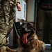 1st Special Forces Group (Airborne) Multi-Purpose Canine Retirement