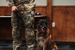 1st Special Forces Group (Airborne) Multi-Purpose Canine Retirement