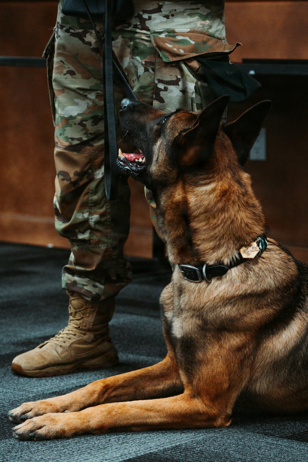 1st Special Forces Group (Airborne) Multi-Purpose Canine Retirement