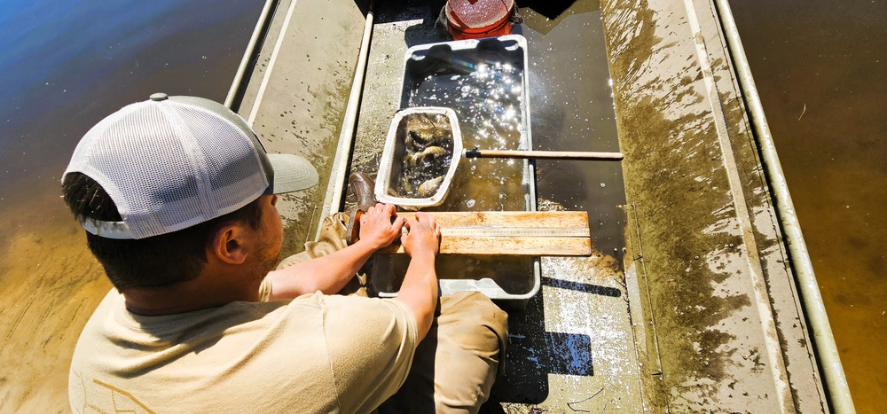 Fort McCoy natural resources fisheries team conducts spring lake surveys; study health of waterways, fish