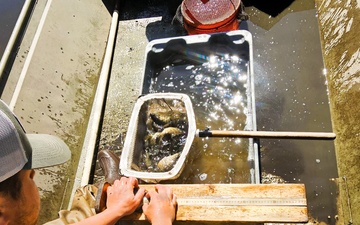 Fort McCoy natural resources fisheries team conducts spring lake surveys; study health of waterways, fish