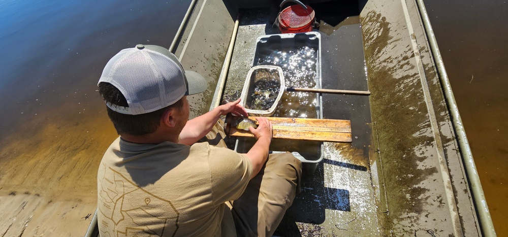 Fort McCoy natural resources fisheries team conducts spring lake surveys; study health of waterways, fish