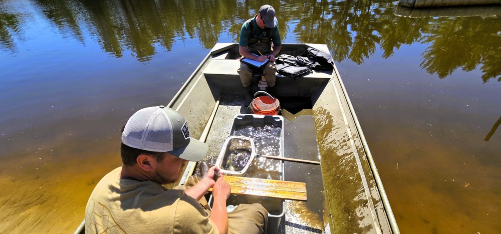 Fort McCoy natural resources fisheries team conducts spring lake surveys; study health of waterways, fish