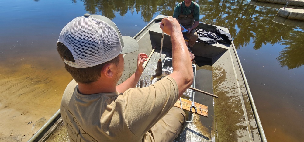 Fort McCoy natural resources fisheries team conducts spring lake surveys; study health of waterways, fish