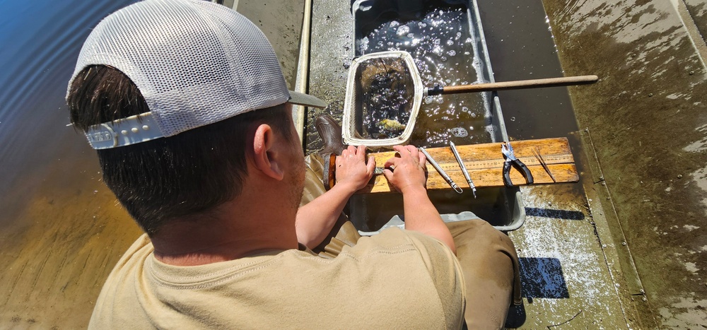 Fort McCoy natural resources fisheries team conducts spring lake surveys; study health of waterways, fish