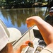 Fort McCoy natural resources fisheries team conducts spring lake surveys; study health of waterways, fish