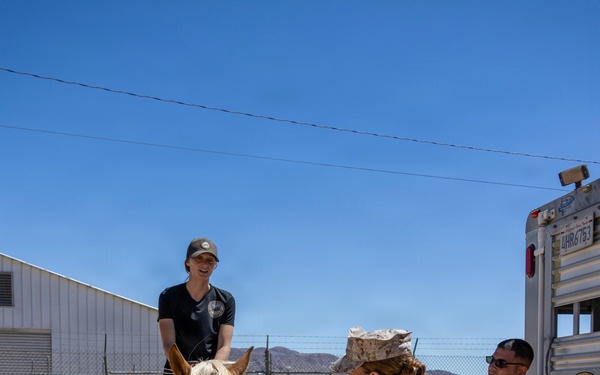 Col. Sharon Dubow, Marine Force Storage Command commanding officer, final tour at the Yermo Annex and Mounted Color Guard Stables before relinquishing MFSC command