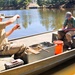 Fort McCoy natural resources fisheries team conducts spring lake surveys; study health of waterways, fish