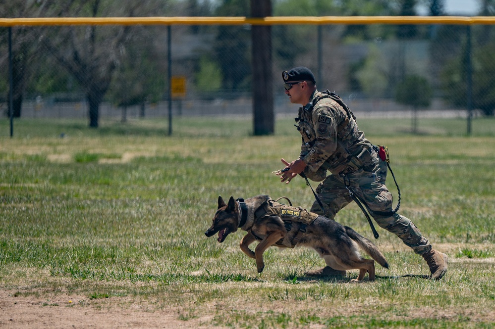 F.E. Warren Hosts K9 Competition