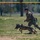 F.E. Warren Hosts K9 Competition