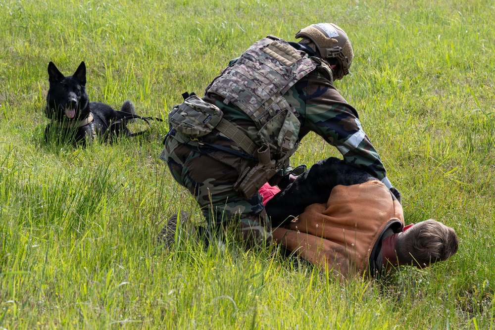 Beverly Sentinel 26-3: 8th SFS employ military working dogs
