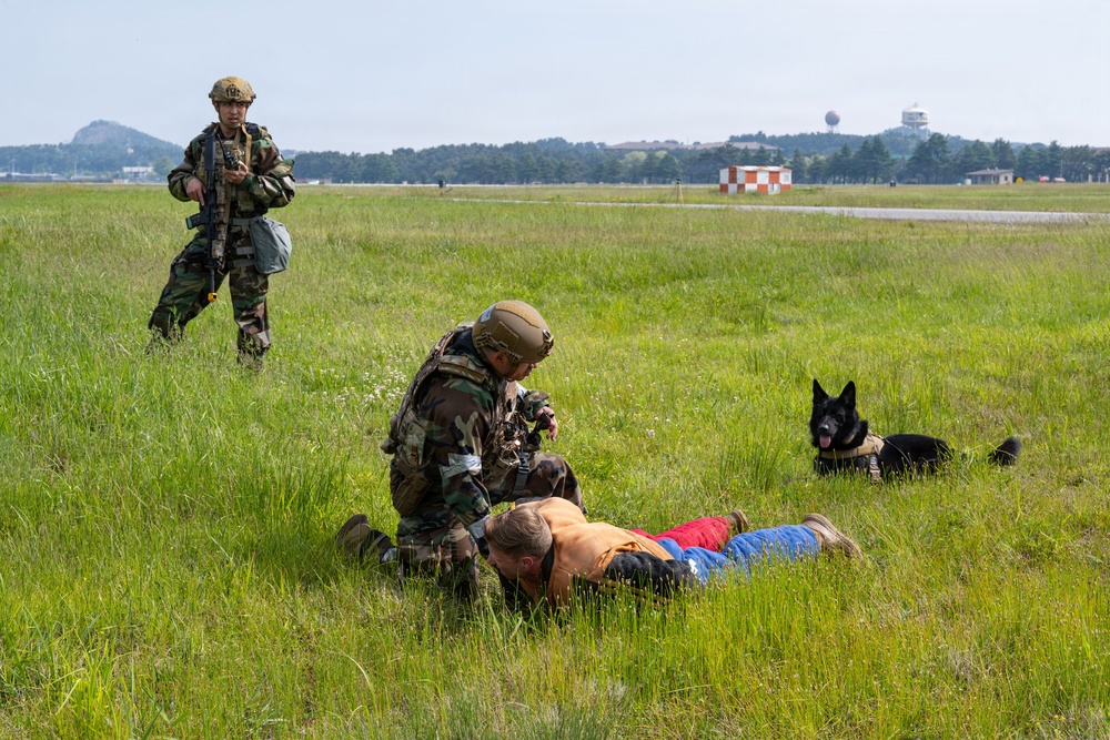 Beverly Sentinel 26-3: 8th SFS employ military working dogs