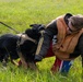 Beverly Sentinel 26-3: 8th SFS employ military working dogs