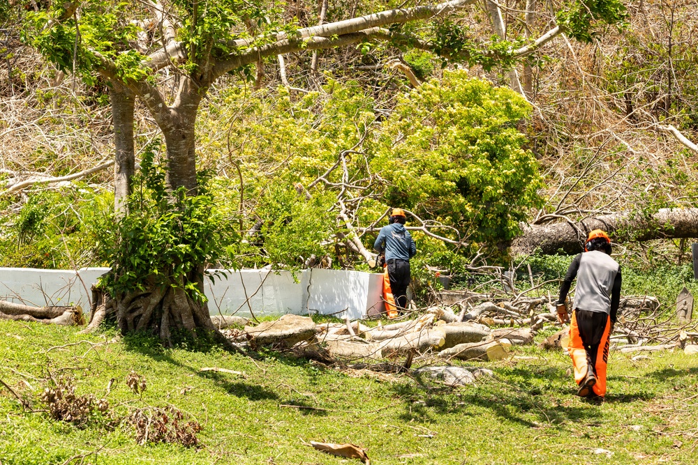 Vegetative Debris Removal Moving Foward