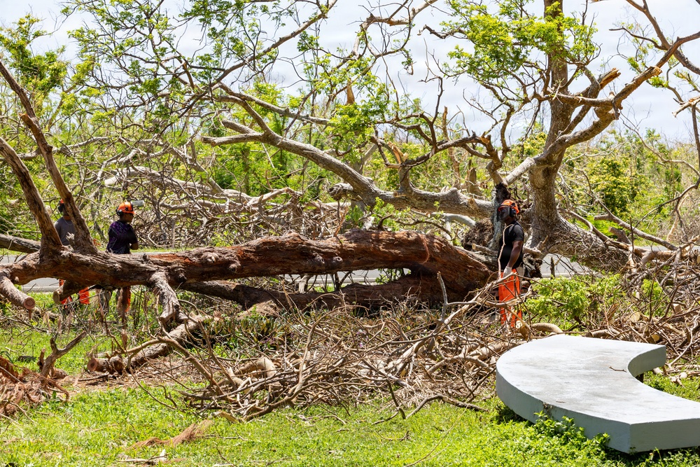 Vegetative Debris Removal Moving Foward