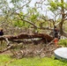 Vegetative Debris Removal Moving Foward