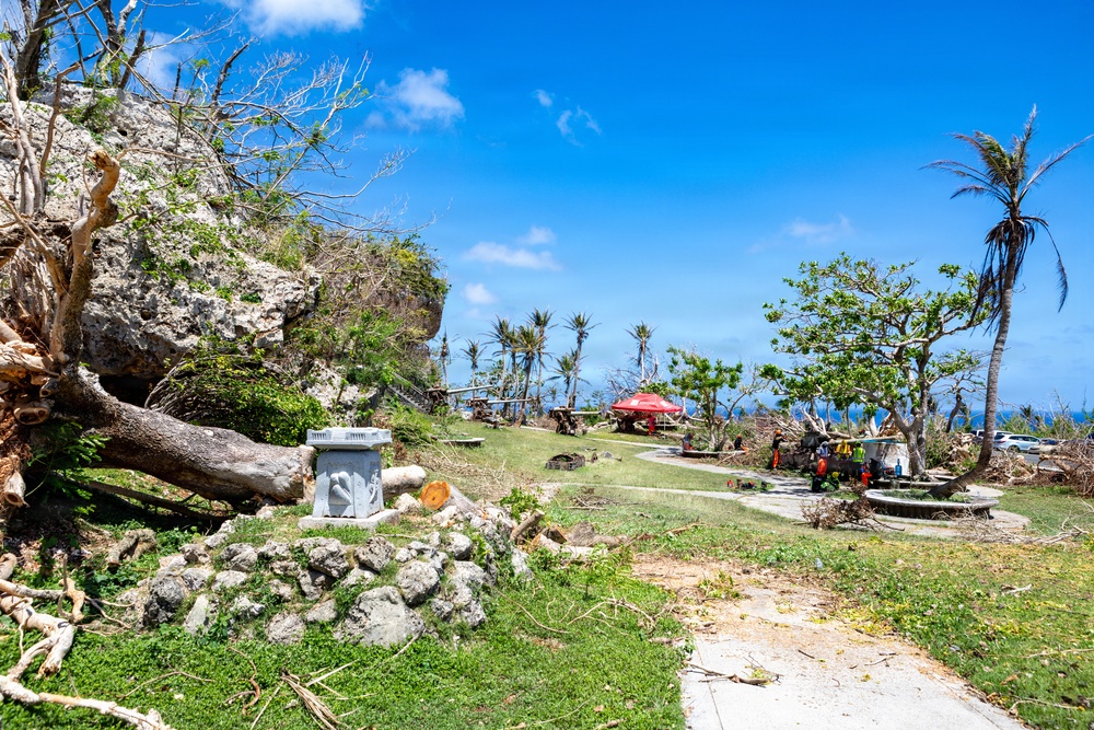 Vegetative Debris Removal Moving Foward