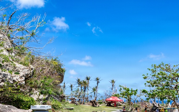 Vegetative Debris Removal Moving Foward
