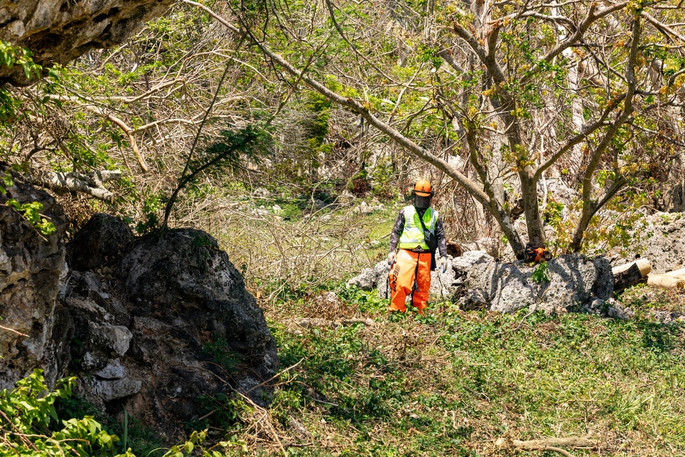 Vegetative Debris Removal Moving Foward