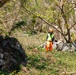 Vegetative Debris Removal Moving Foward