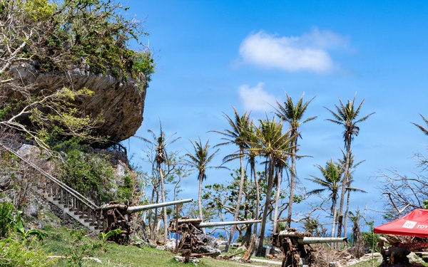 Vegetative Debris Removal Moving Foward