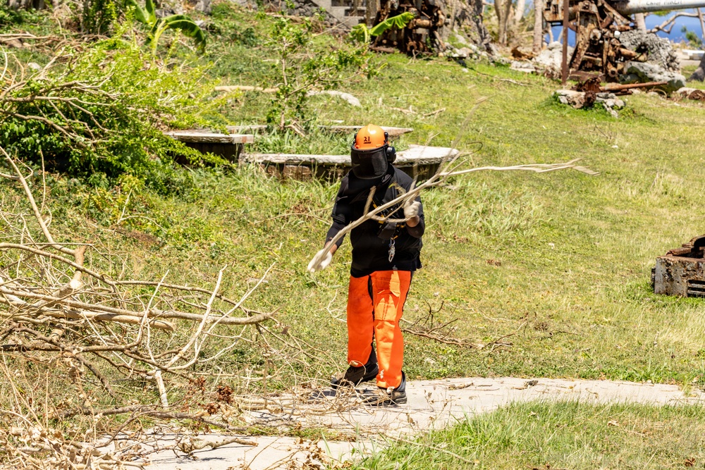 Vegetative Debris Removal Moving Foward
